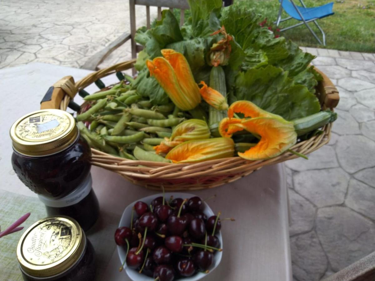 Agriturismo Allo Scoglio - Azienda Agricola Триест Екстериор снимка