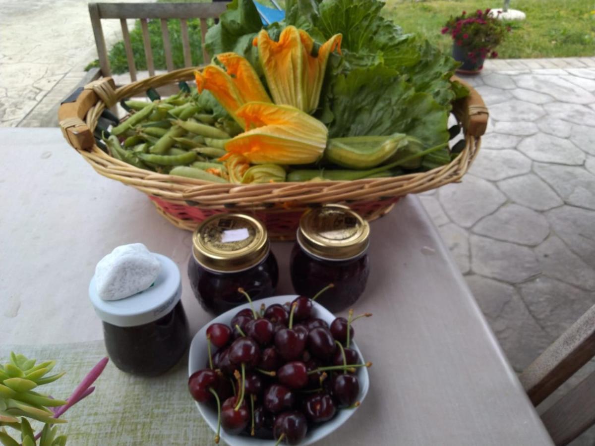 Agriturismo Allo Scoglio - Azienda Agricola Триест Екстериор снимка